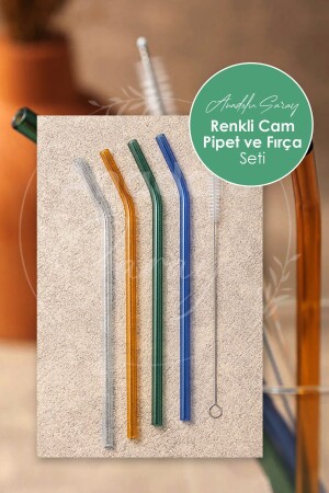 مجموعة من 4 أشكال من الزجاج البيبيتات الحرارية (مقاومة للحرارة) وفرشاة تنظيف 1 بيبيتة - Anadolu Saray