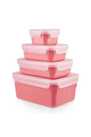 مجموعة ملونة من 4 مسحوق 3110600886 - TEFAL