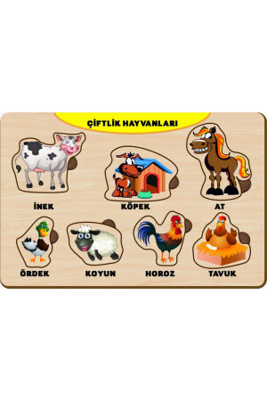 4 Adet Ahşap Bul Tak Eğitici Yapboz Puzzle Seti 12 PRS-1107 - 5