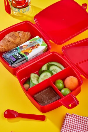 4 Fächer, 2-lagige Lunchbox mit Löffel und 500-cc-Wasserflasche mit Strohhalm. Auto-Lunchbox-Set - 4