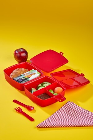 4 Fächer, 2-lagige Lunchbox mit Löffel und 500-cc-Wasserflasche mit Strohhalm. Auto-Lunchbox-Set - 8