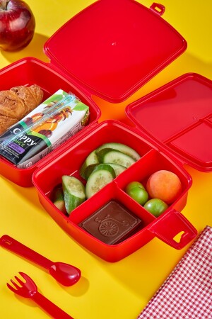 4 Fächer, 2-lagige Lunchbox mit Löffel und 500-cc-Wasserflasche mit Strohhalm. Auto-Lunchbox-Set - 9