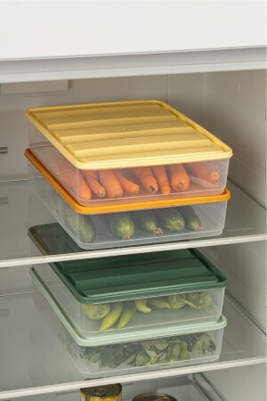 4lü 3-5 Litre Renkli Bella Buzdolabı Düzenleyici Saklama Kabı - 3