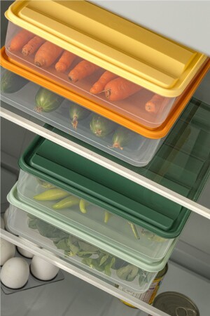 4lü 3-5 Litre Renkli Bella Buzdolabı Düzenleyici Saklama Kabı - 5