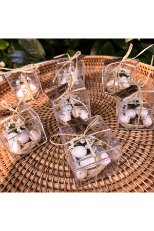 50 Stück Glimmer Vogelkäfig Versprechen Henna Hochzeit Süßigkeiten Baby Süßigkeiten Geschenk N2725 - 3