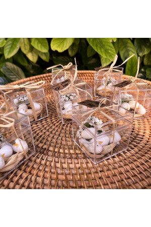 50 Stück Glimmer Vogelkäfig Versprechen Henna Hochzeit Süßigkeiten Baby Süßigkeiten Geschenk N2725 - 6