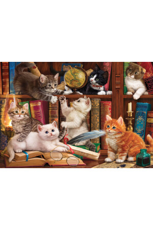 500-teiliges Puzzle / Katzen und Bücher – Code: 3618 HOME. 3618 - 4