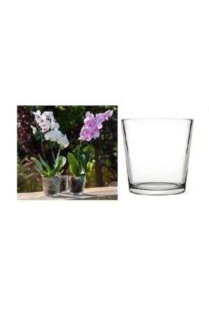 53827 Botanica Orchideenvase - 3