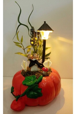 هدية ذكرى زفاف (منز) ، هدية للعاشق، مرشح حشرة (تراريوم) مع صورة العروس والعريس، حمراء 54896455 - Decorium