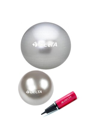 55 cm Pilates-Ball, 25 cm Mini-Balance-Ball und Pumpen-Set STQ-Z5-Y6525 - 1