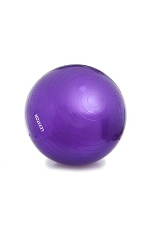 55 cm Pilatesball + Pumpe - 1