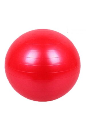- 55 cm Tellerball PLTS55 - 1