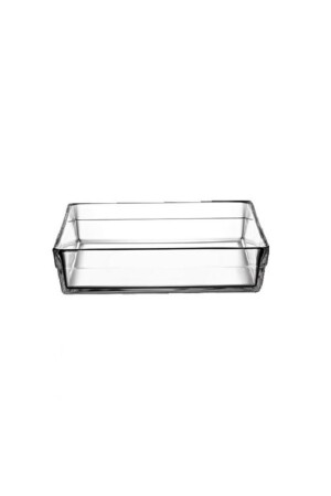 59314 Premium-Pyrex-Quadrattablett EVİDEASRN011 - 3