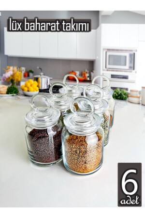 6 Adet Vakumlu Lüx Baharat Takımı dnzcnlxbhrt0001 - Serin Bardak