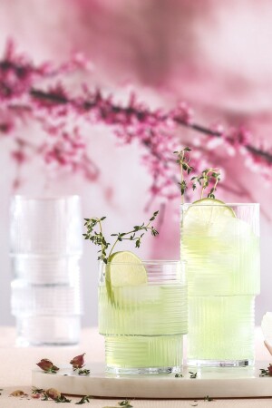 مجموعة من 6 كؤوس مشروب لذيذ - Lav