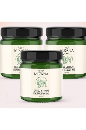 كاكتوس ورقة من مينز باي 6 قطع M66 - MİRANA