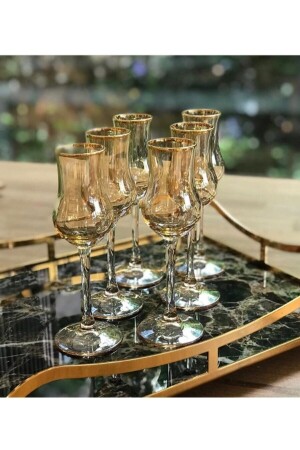 مجموعة من الكوبات المزينة باليدين لـ 6 أشخاص مجموعة من الكوبات المزينة - Paşabahçe