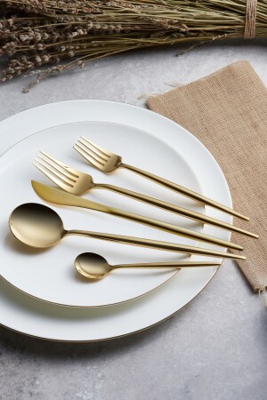 م.ن.ز-جوبيتير ذروة لامعة 60 قطعة مقبضة معقلية سكين لـ 12 شخصًا - Karaca