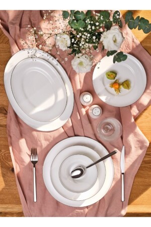 (منيز-أليشيا) 60 قطعة عشاء مجموعة بلاتينية مستديرة 600. 15.01.2582 - Emsan