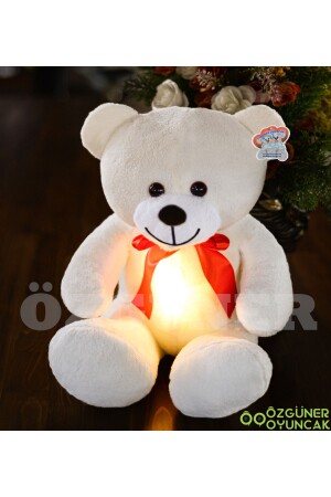 60 cm LED-Licht-Plüsch-Teddybär (100 % LOKAL) TR03122021001 - 3