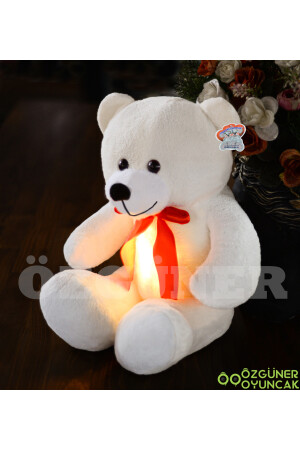 60 cm LED-Licht-Plüsch-Teddybär (100 % LOKAL) TR03122021001 - 5