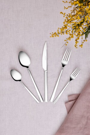 مجموعة من المعدات من 60 قطعة من MNZ-Ege لـ 12 شخصًا مع صندوق فاخر - Emsan