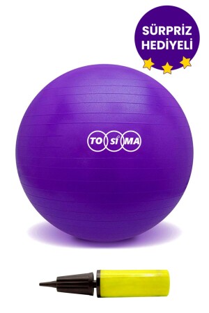 65 cm Anti-Burst-Pilates-Ball, Ballpumpen-Set, Gymnastikball, Yoga-Ball und Pumpe, TS9561 - 1