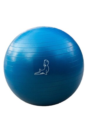 65 cm blauer Gymnastikball PET09-BALL - 1