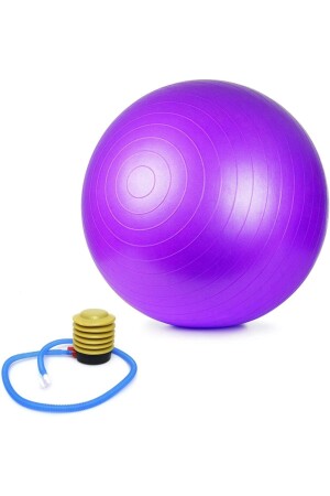 65 cm großer Pilates-Ball, dicker Yoga-Übungsball mit Pumpe - 1