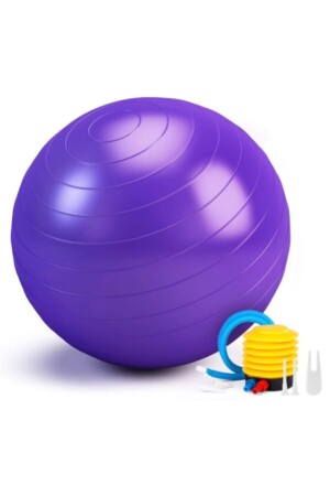 65 Cm Mor Pilates Topu Ve Şişirme Pompası- Yoga Plates Egzersiz Topu Ball - 3