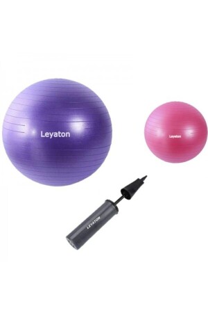 65 cm Pilates-Ball, 25 cm Mini-Balance-Ball und Pumpen-Set - 1