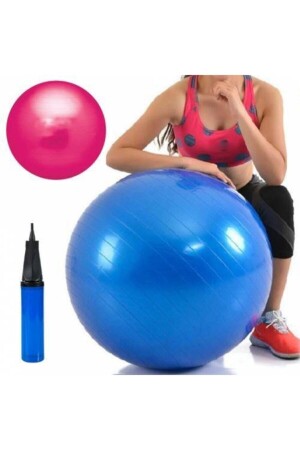 65 cm Plattenballpumpe, 65 cm Balanceball und 20 cm Pilatesball. Blaue Pumpe ist im Lieferumfang enthalten - 1