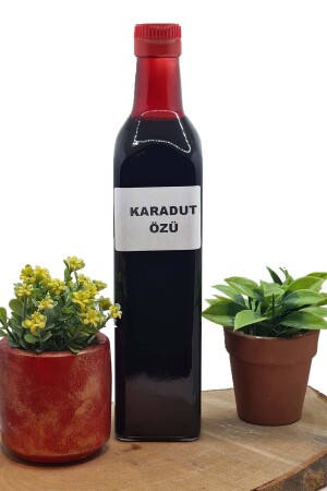 منز-بلاك مولبري استنتاج 700 غرام - Havran Kocaseyit