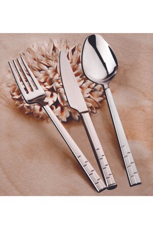 مـنـز ميلانو 72 قطعة سكين ملعقة شوكة مجموعة لـ 12 شخصًا مقبضة - Aslan