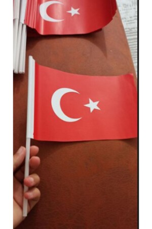 80 Stück türkische Papierflagge mit Stöcken und Stäbchen sowie einer mit Sternen und Halbmonden bedruckten Flagge - 5