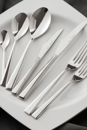 مـنـز-فيـلي 84 قطعة طلاء مقبض على 12 شخصًا 153 02. 01. 0304 - Karaca