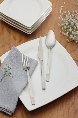 م.ن.ز-دورو 84 قطعة فخمة مقبضة معقلية معقصة سكين لـ 12 شخص 600. 02. 01. 0189 - Emsan