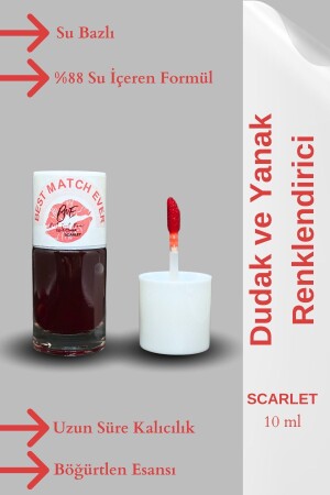 أفضل ملون من أي وقت مضى أحمر - ملون الشفاه والشفاه - شرب شرب الشفاه - شرب الشفاه والشفاه - Best Match Ever