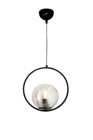 Almina Single Black Case Smoked Globe Glass Pendelleuchte Kronleuchter EYS-OA-012 - 3