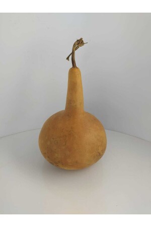 كالاباش غير المصنعة من منظمة 