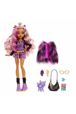 Ana Karakter Bebekler Clawdeen Wolf Hhk52 W010101MATHPD53CW - 4