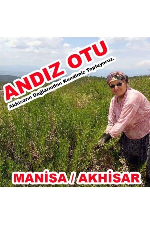 Andız Otu Macunu Akhisar- Yapışkan- Hakiki Doğal - 8