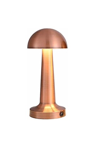Antikfarbene Tischlampe mit 3-Farben-Brennmodus Ct-8430 - 2