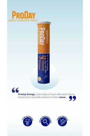 Apidemica Proday Energy (arı Sütü- Ginseng- Koenzim Q10- 12 Vitamin Ve 7 Mineral) - 5