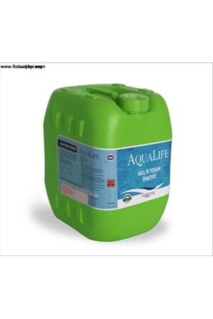 Aqualife Havuz Yosun Önleyici 20kg P252123S3553 - 1