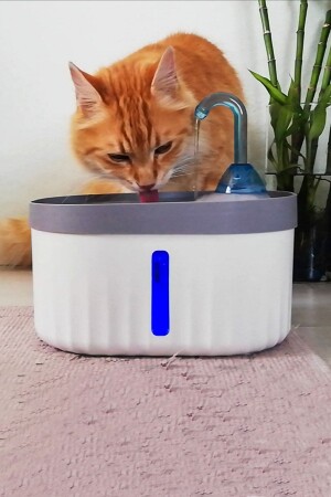 AQUATA Automatischer Wasserspender für Katzen und Hunde, Wasserbrunnen und Quelle mit Licht, extrem leiser USB-Anschluss, 2–3 Liter, 40 dB - 1