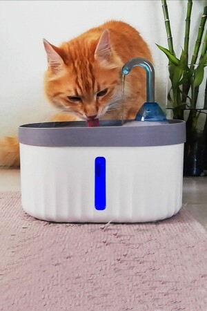 AQUATA Otomatik Kedi Köpek Suluğu Su Çeşmesi ve Pınarı Işıklı Ultra Sessiz USB Bağlantı 2-3 lt 40db - 1
