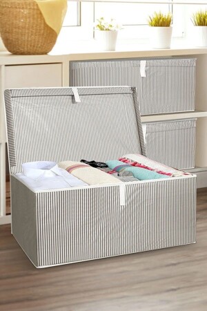 Aralarhome Maxi Box Aufbewahrungstasche 50 x 40 x 30 cm (GRAU) - 2