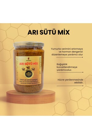 Arısütümix Premium Karışım Bol Arı Sütü-bol Propolis-bol Arı Ekmeği-bol Yaş Polen-bal - 3