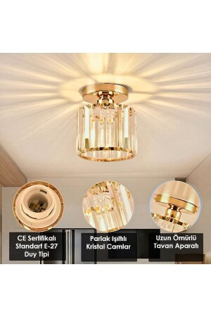 Arosa Model Luxury Koridor Salon Hol Antre Çocuk Odası Plafonyer Şık Lüks Gold Avize Ultra Home MSL - 2